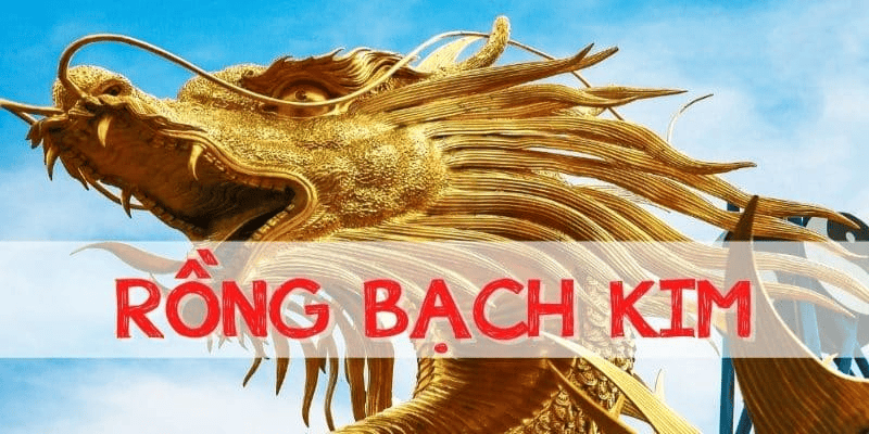 Khám Phá Chiến Lược Soi Cầu Lô Đề Rồng Bạch Kim Để Đánh Bại Xổ Số 2 Soi cầu rồng bạch kim: Bí quyết nâng cao cơ hội chiến thắng trong lô đề